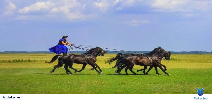 Pháp - Monaco - Ý - Vatican - Áo - Séc - Slovakia - Hungari - Ảnh 16